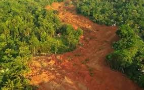 Longsor di Cilacap: Penyebab, Dampak, dan Upaya Penanganan