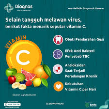 Manfaat Vitamin C untuk Kesehatan Tubuh