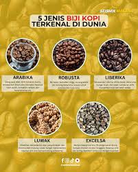 5 Kopi yang Rasanya Tidak Pahit