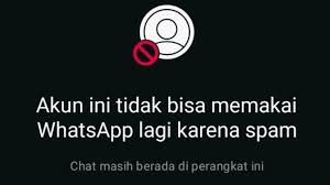 Kenapa WhatsApp 2025 Mudah Terblokir? Simak Penyebab dan Solusinya!